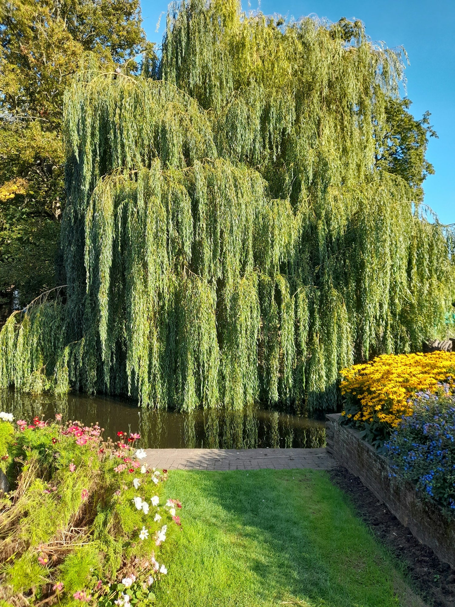 Loughborough_student_storage
