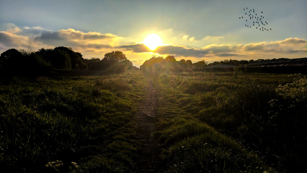 bradford-storage-facilities