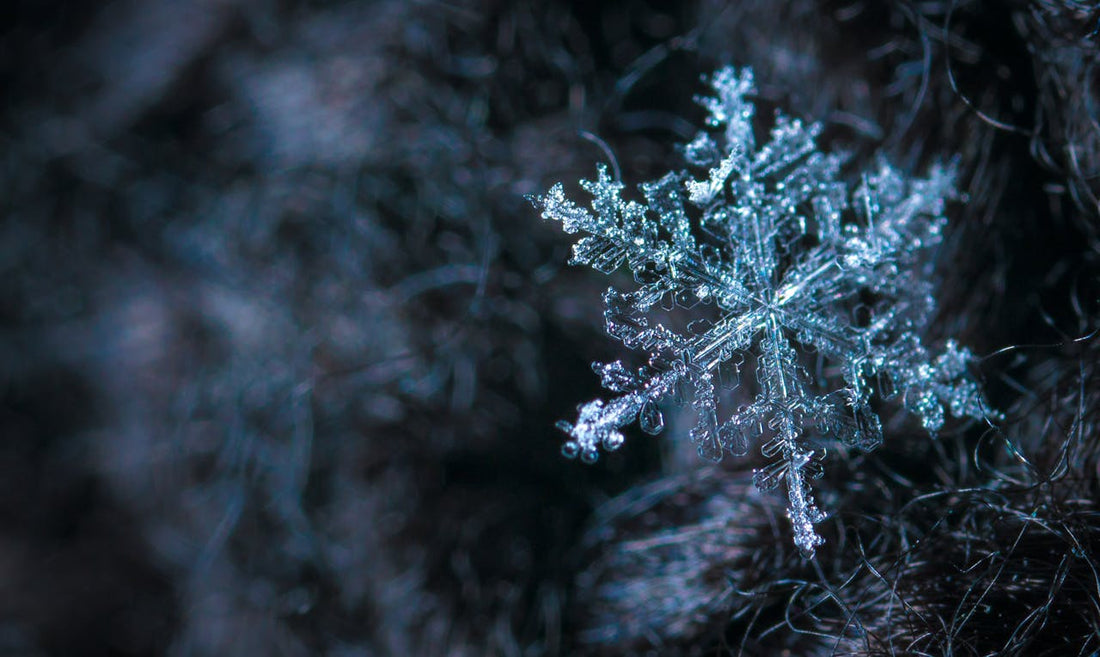 Are Self-Storage Units Heated In Winter?