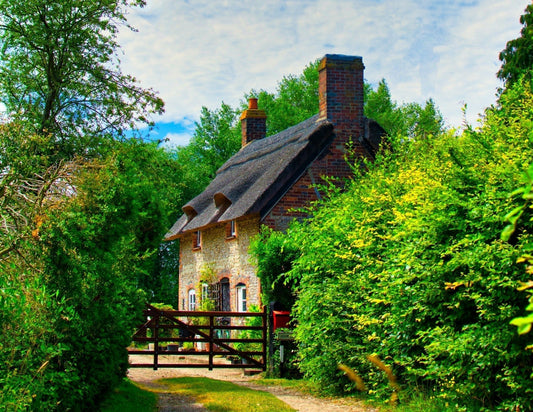 downsizing your home