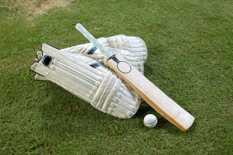 cricket_sports