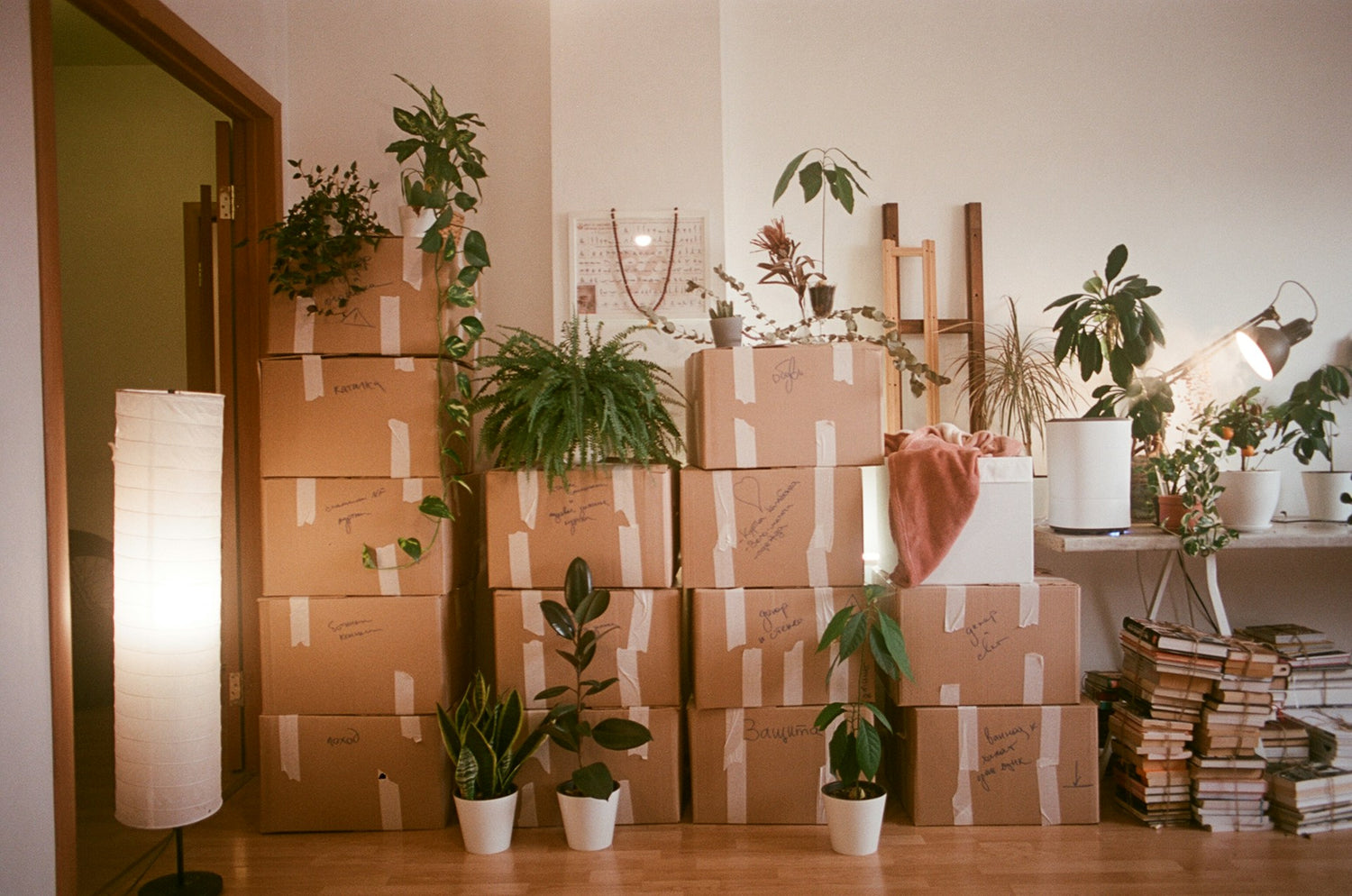 storage_whilst_moving_house
