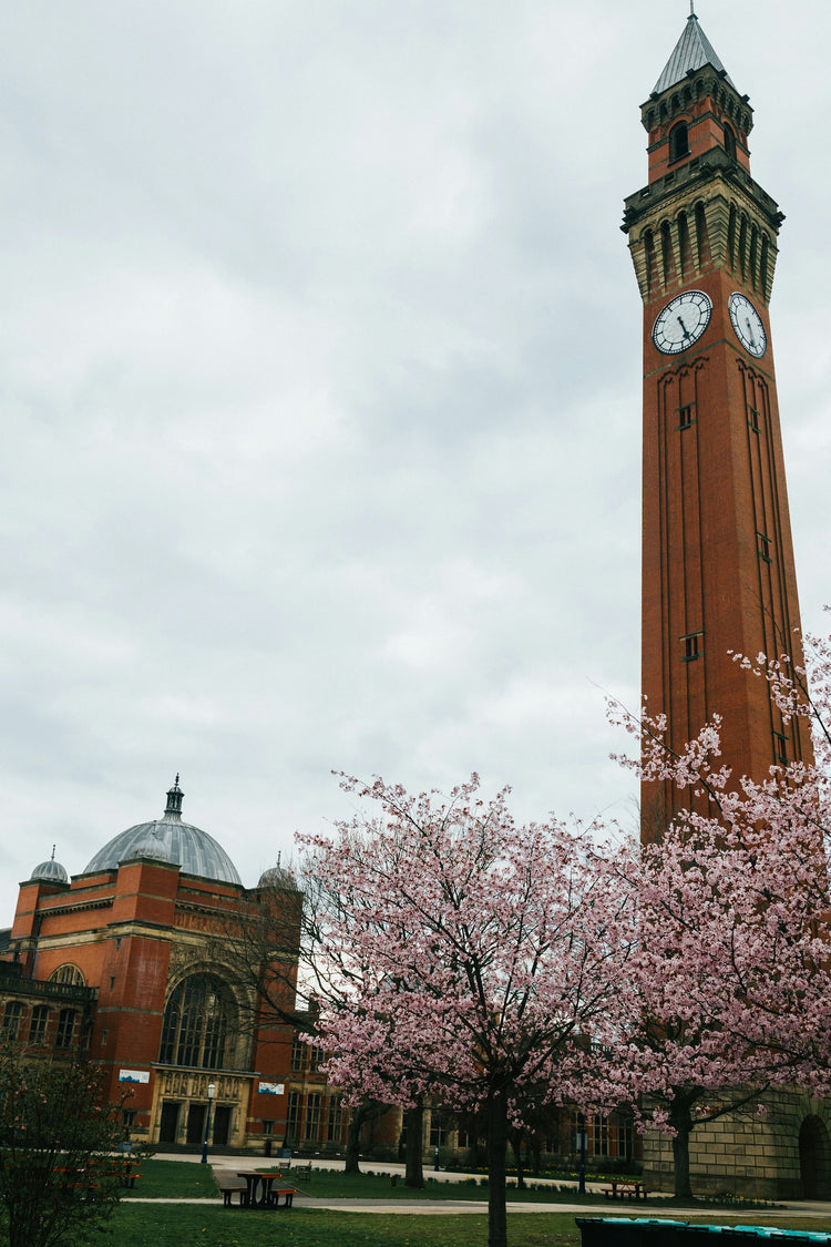 student_storage_in_birmingham